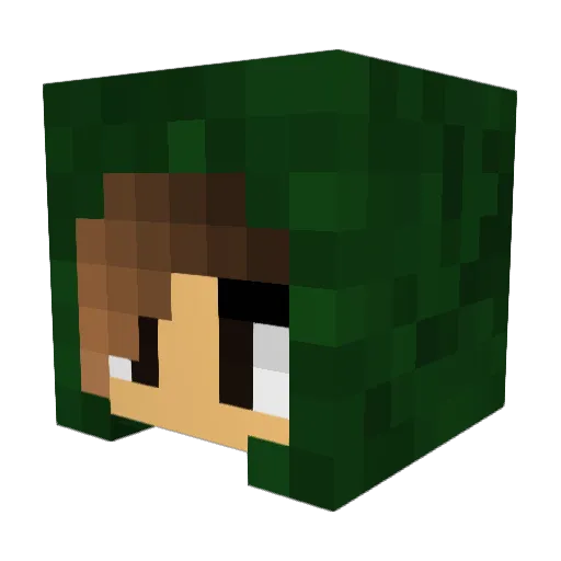BlackFoxt Minecraft avatar head, 3D render