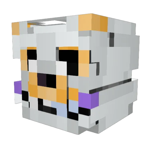 BlackFoxy2004 Minecraft avatar head, 3D render