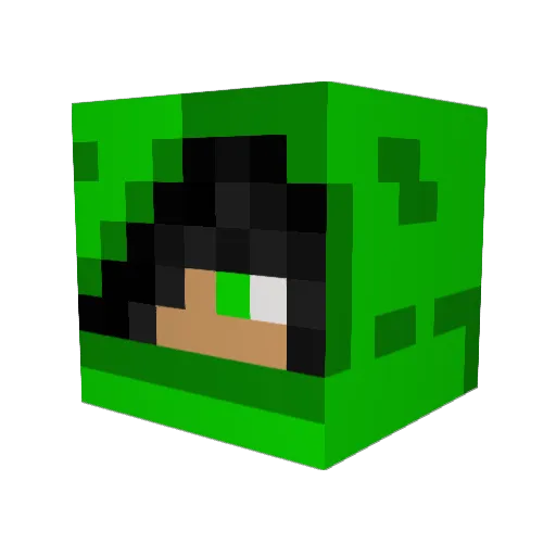 BlackFury Minecraft avatar head, 3D render
