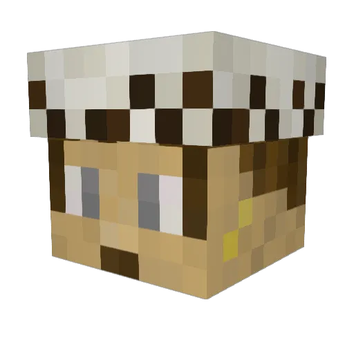BlackISpirit Minecraft avatar head, 3D render