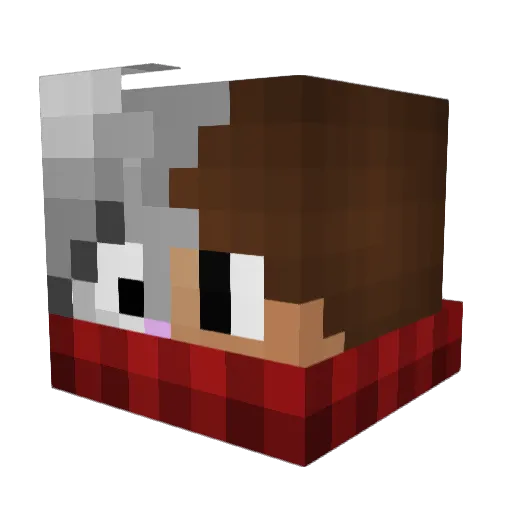 BlackJackkkk Minecraft avatar head, 3D render