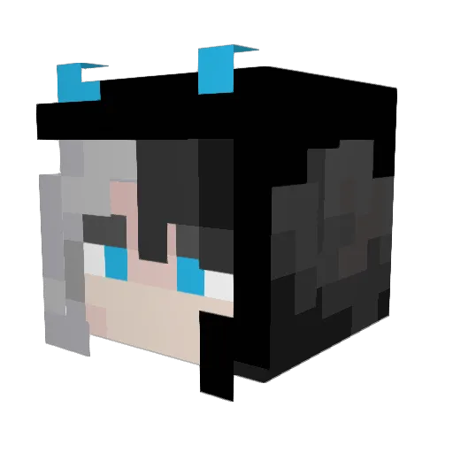 BlackJax96 Minecraft avatar head, 3D render