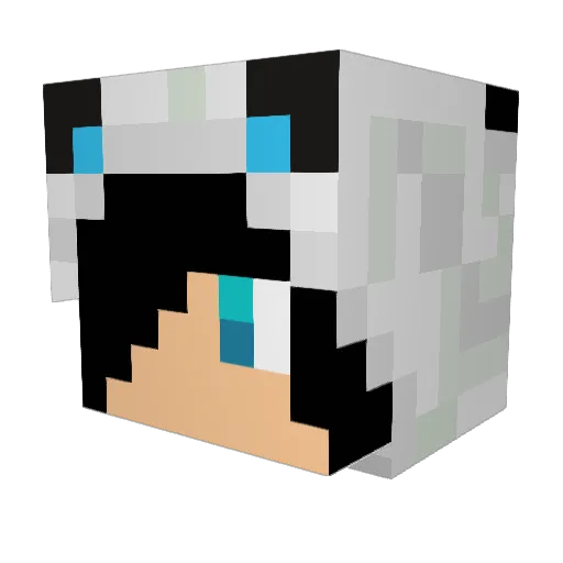 BlackKAO7 Minecraft avatar head, 3D render