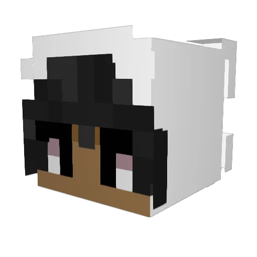 BlackKash Minecraft avatar head, 3D render