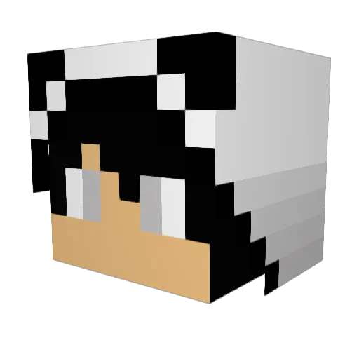 BlackKimono Minecraft avatar head, 3D render