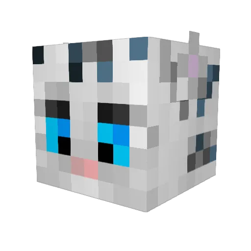 BlackKnight10231 Minecraft avatar head, 3D render