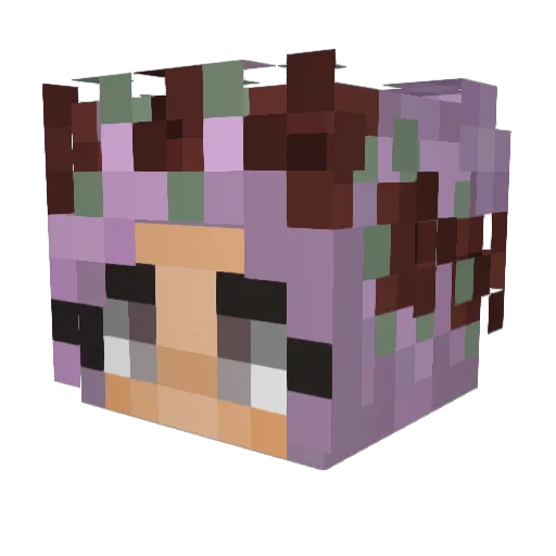 BlackLayla Minecraft avatar head, 3D render
