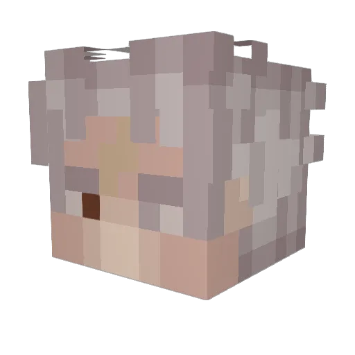 BlackLeZer Minecraft avatar head, 3D render