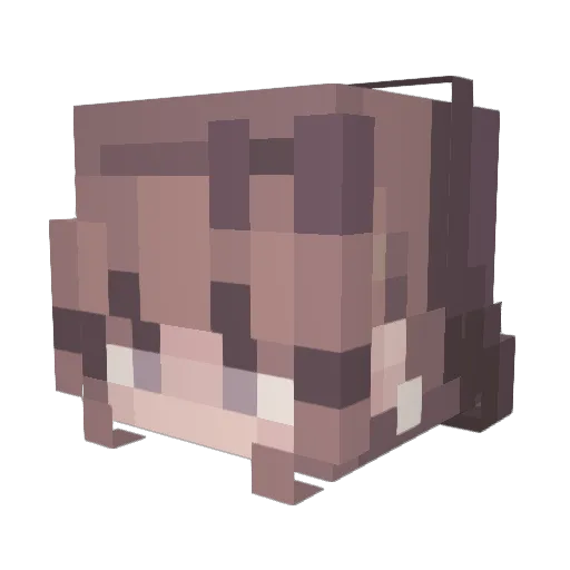 BlackMaStar Minecraft avatar head, 3D render