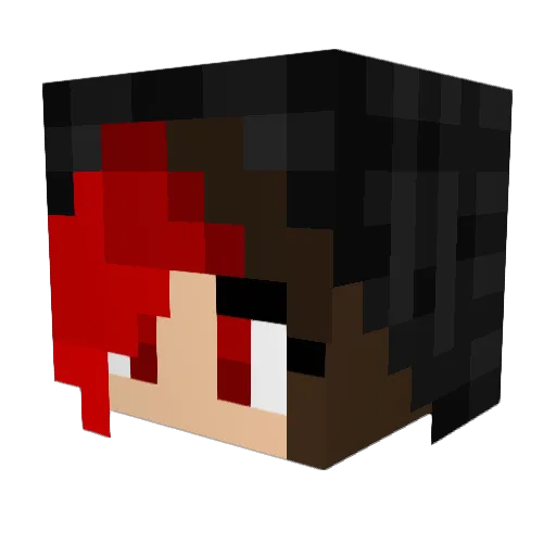 BlackMagicNinja Minecraft avatar head, 3D render