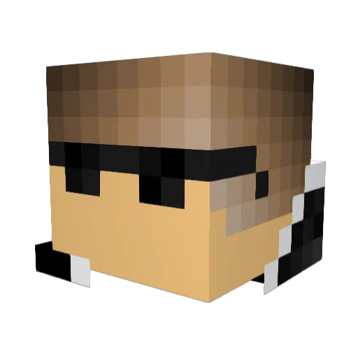 BlackMamba2213 Minecraft avatar head, 3D render