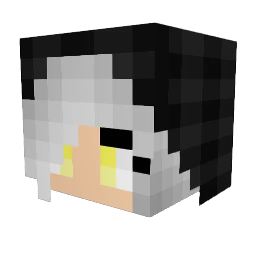 BlackMoon9 Minecraft avatar head, 3D render