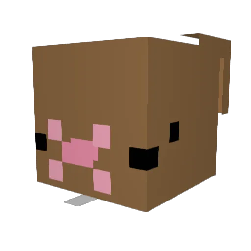 BlackN01r Minecraft avatar head, 3D render