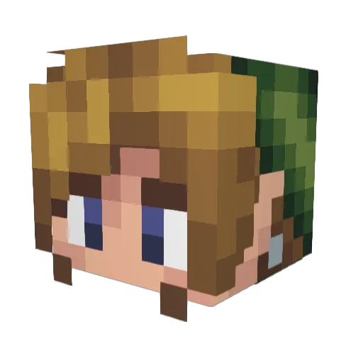BlackNight6667 Minecraft avatar head, 3D render