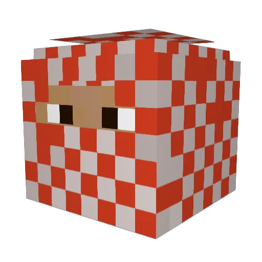 BlackNinja0624 Minecraft avatar head, 3D render