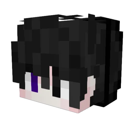 BlackNinja_Toji Minecraft avatar head, 3D render