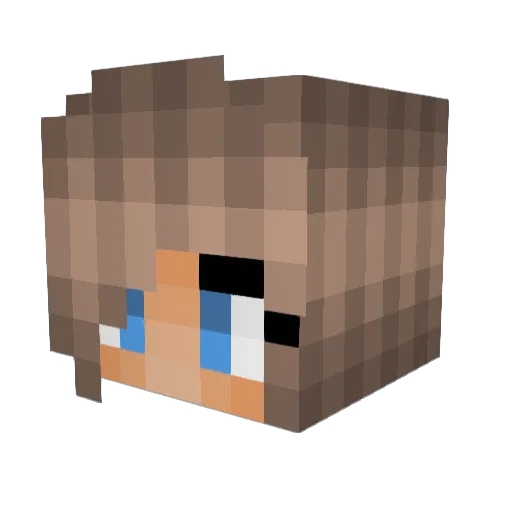 BlackPanda_99 Minecraft avatar head, 3D render