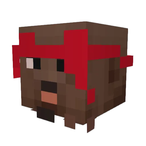 BlackPoet Minecraft avatar head, 3D render