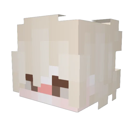 BlackRaison Minecraft avatar head, 3D render