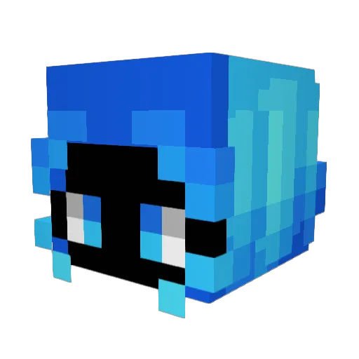 BlackSenpaii Minecraft avatar head, 3D render