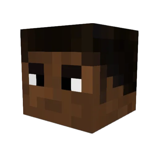 BlackSensei_ Minecraft avatar head, 3D render