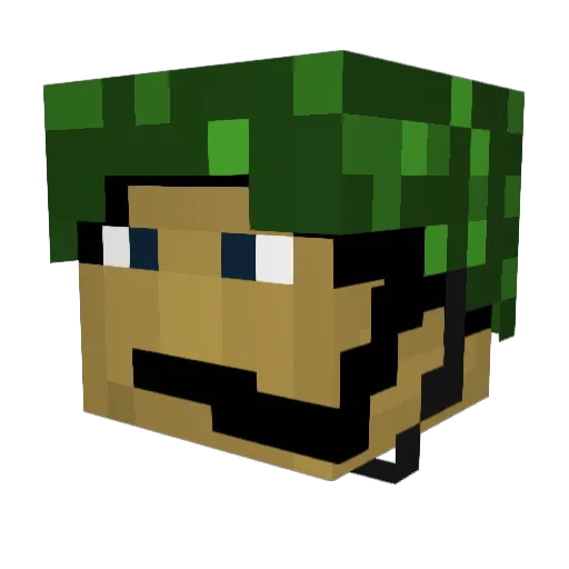 BlackShadow11349 Minecraft avatar head, 3D render