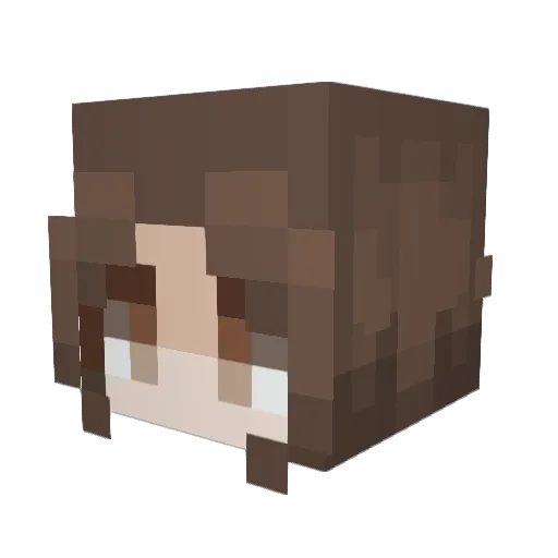 BlackSheepNinja Minecraft avatar head, 3D render