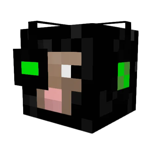 BlackSheep_PL Minecraft avatar head, 3D render