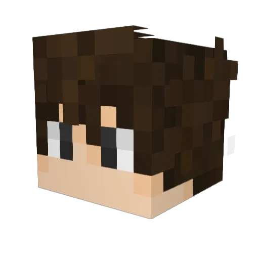 BlackSmilePl Minecraft avatar head, 3D render