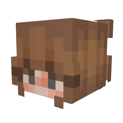 BlackStar108 Minecraft avatar head, 3D render