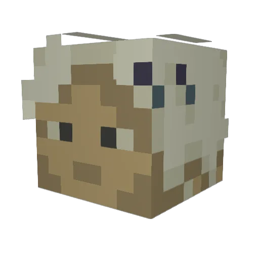 BlackStar1406 Minecraft avatar head, 3D render