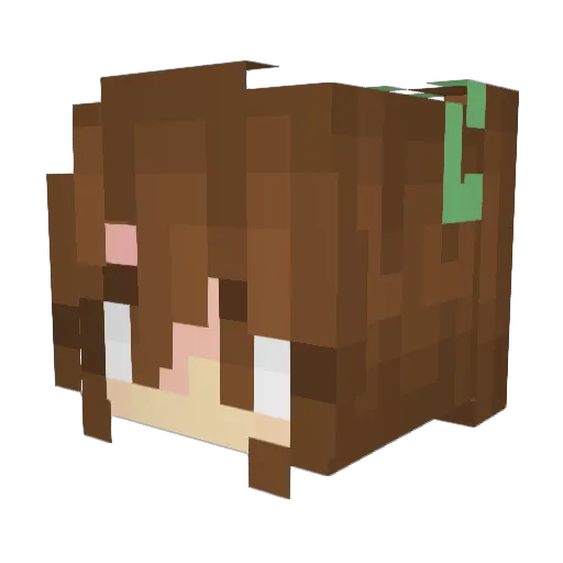 BlackStar6644 Minecraft avatar head, 3D render