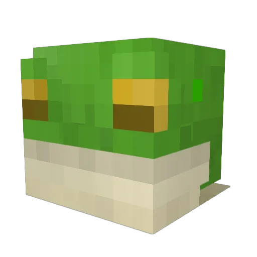 BlackStar_ Minecraft avatar head, 3D render