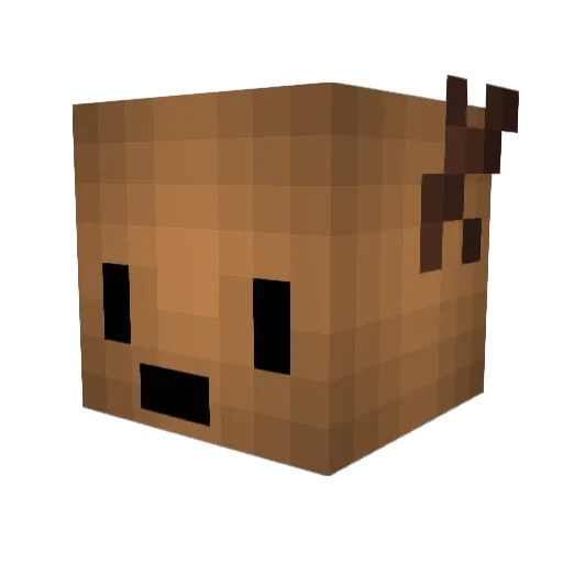 BlackStorm59 Minecraft avatar head, 3D render