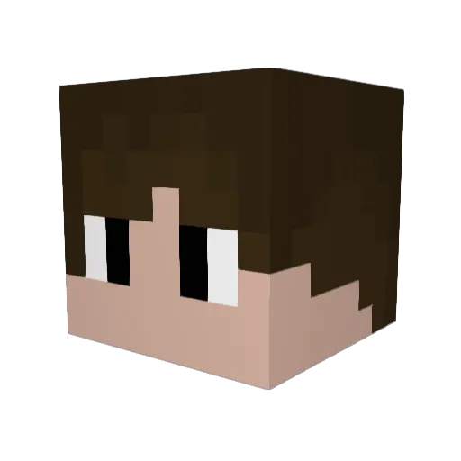 BlackStorm9 Minecraft avatar head, 3D render
