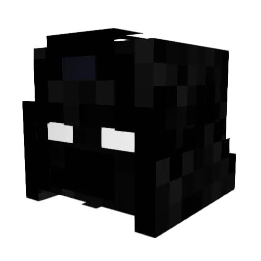 BlackStormPlays Minecraft avatar head, 3D render