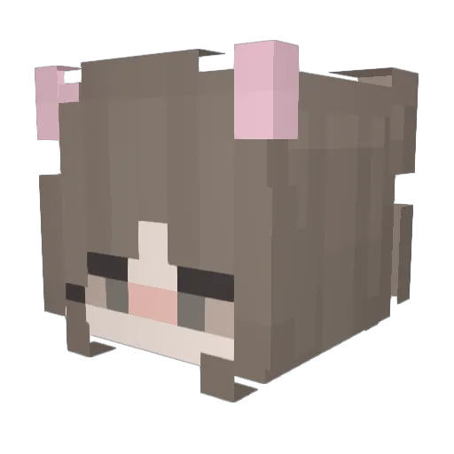 BlackSunLia Minecraft avatar head, 3D render