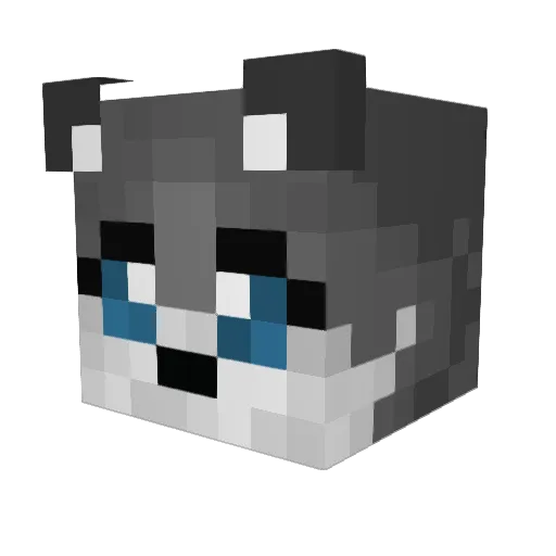 BlackSurviver Minecraft avatar head, 3D render