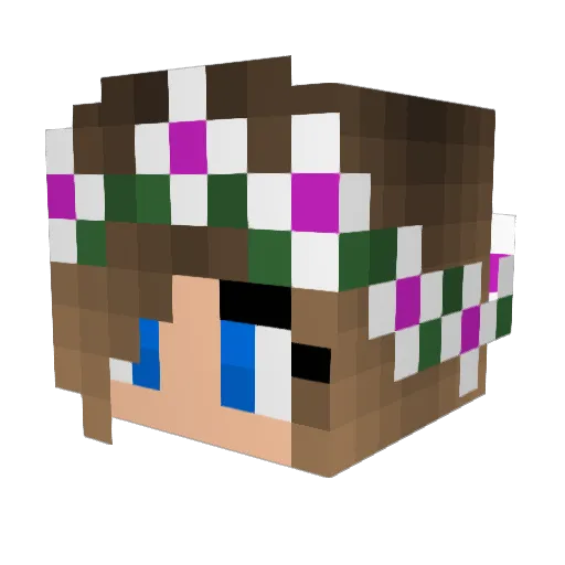 BlackSword345 Minecraft avatar head, 3D render