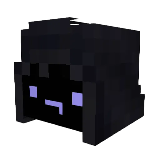 BlackTrophyRoXx Minecraft avatar head, 3D render