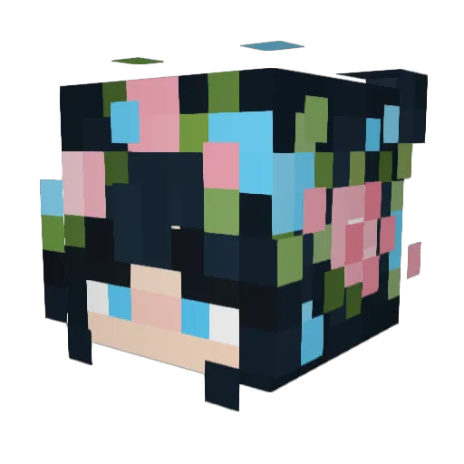 BlackTulip91 Minecraft avatar head, 3D render