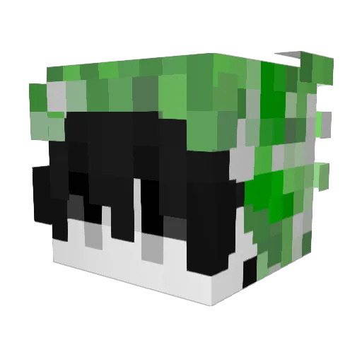 BlackWater521 Minecraft avatar head, 3D render