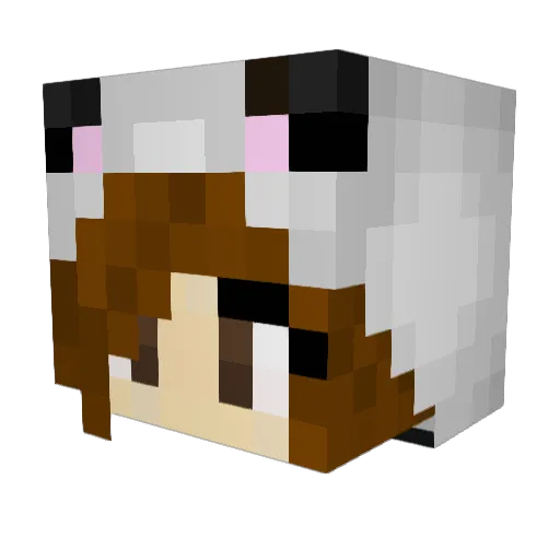 BlackWhite44 Minecraft avatar head, 3D render