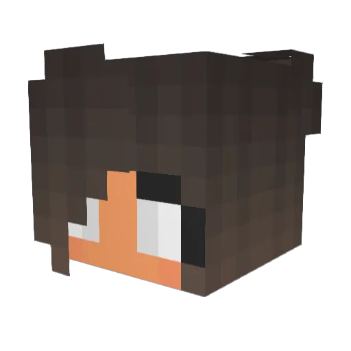 BlackWolf5 Minecraft avatar head, 3D render