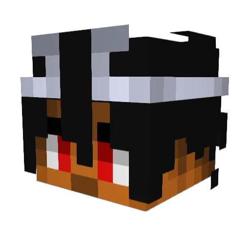 BlackXSage40 Minecraft avatar head, 3D render
