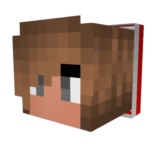 Black_Bee Minecraft avatar head, 3D render