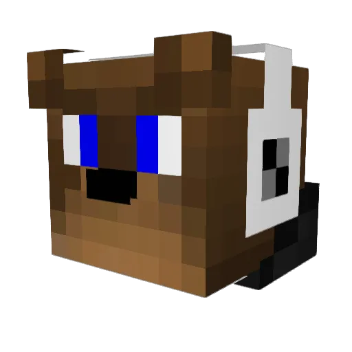 Black_Fl3g Minecraft avatar head, 3D render