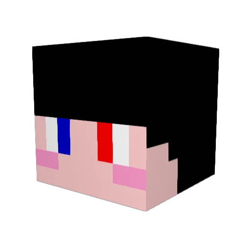 Black_Hackers Minecraft avatar head, 3D render