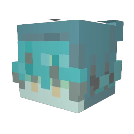 Black_Joo Minecraft avatar head, 3D render
