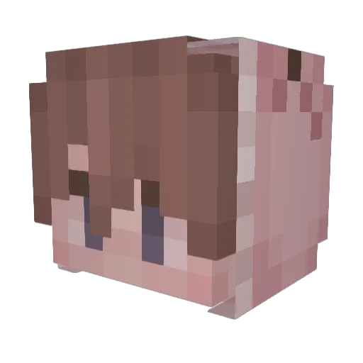 Black_Kaboom Minecraft avatar head, 3D render